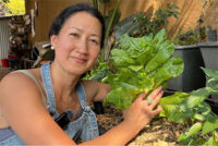 Paulina Fong - Administración Restaurantera, Padre Huerto, Tototepec, Guerrero, México